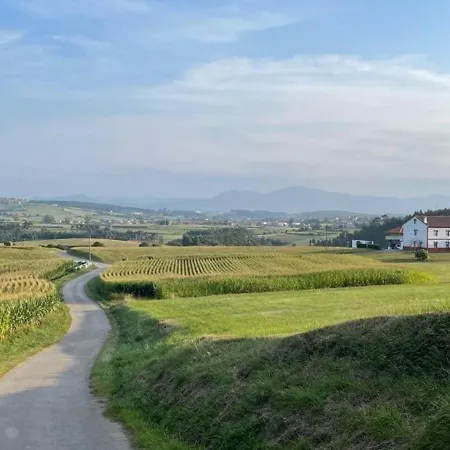 El Carbayal * Verdicio